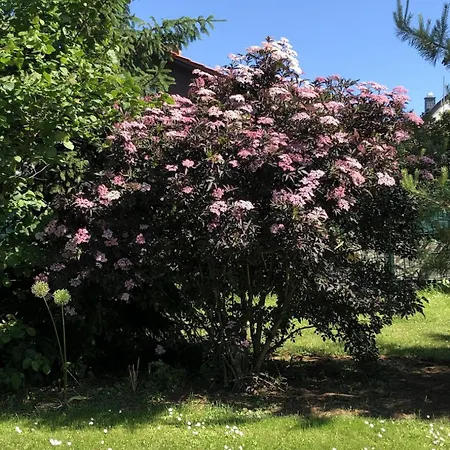 Am Lehof * Quedlinburg
