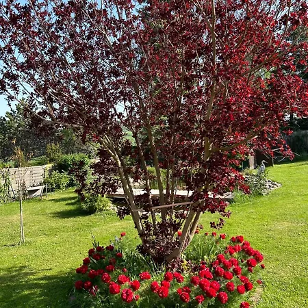 Apartamento Am Lehof *