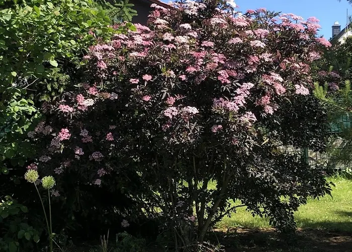 Am Lehof * Quedlinburg