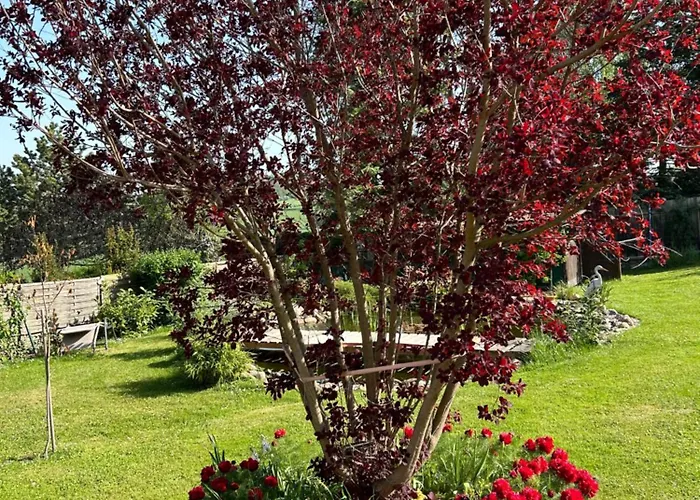 Apartment Am Lehof *